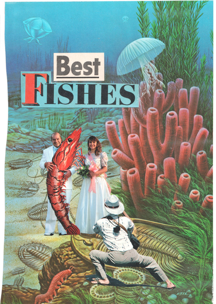 Best Fishes collage greeting card.