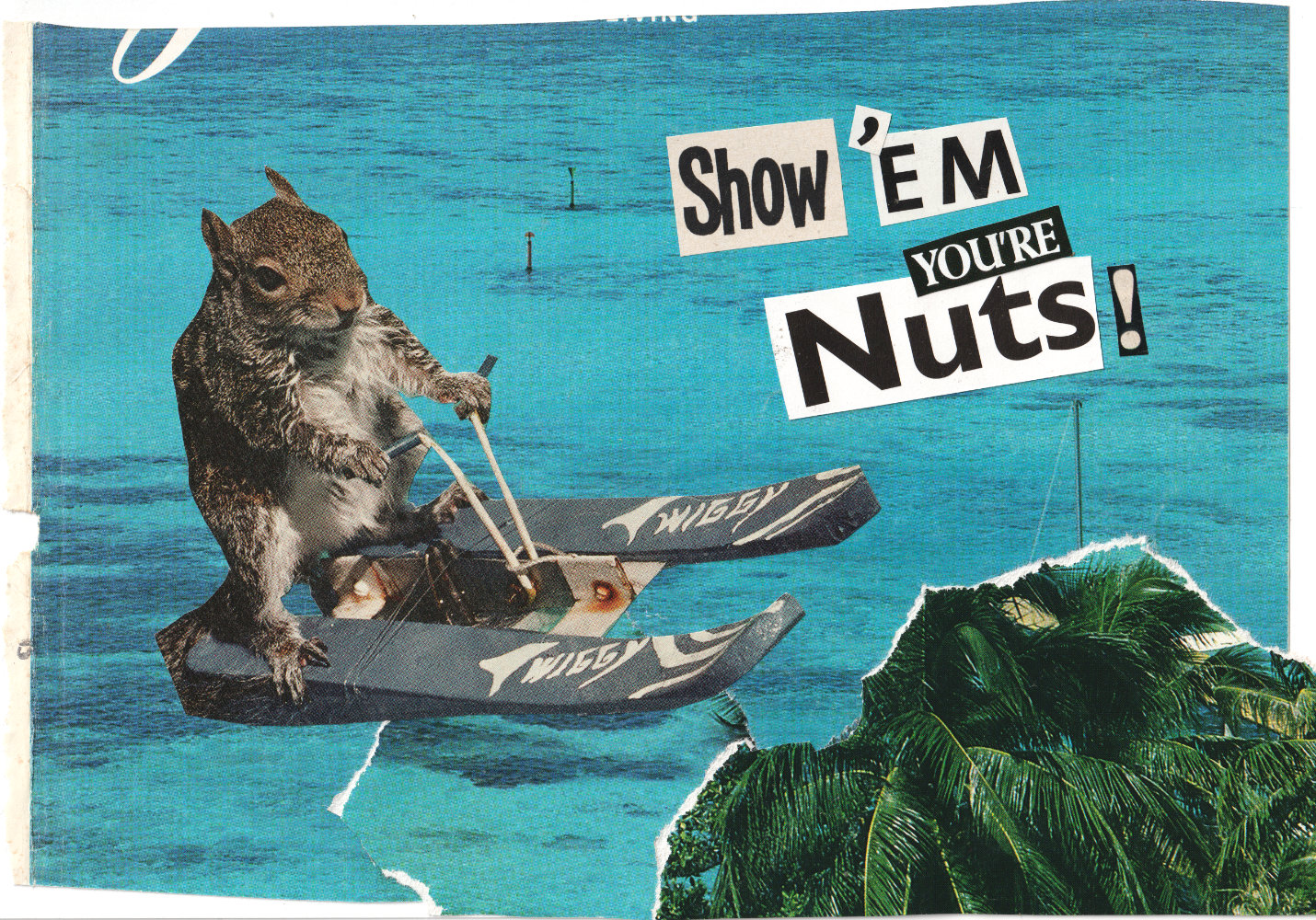 Show em you’re nuts! analog collage.